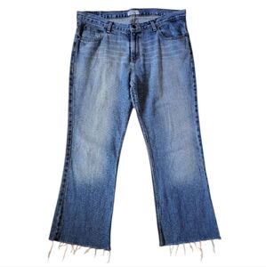American Eagle Outfitters Favorite Flare Wide Leg Vintage Distressed